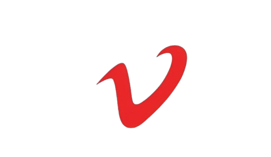 international.vairish.in